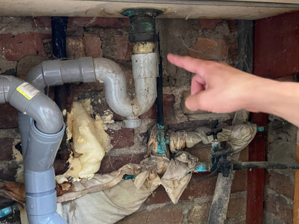 Best Carpet water damage restoration  in West Branch, MI